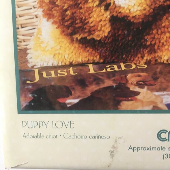 Latching Hook Kit Caron Wonderart Puppy Love 4670 Labrador Retriever Dog 12" x12 - Picture 8 of 11